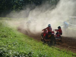 Gespanne im Staub